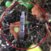 Victoria officials concerned by spike in discarded needle prickings