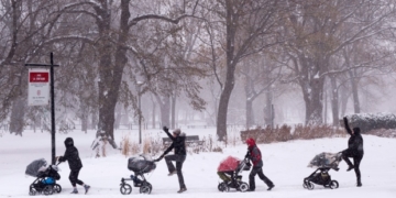 It shouldn't be taboo to criticize parents for having too many kids