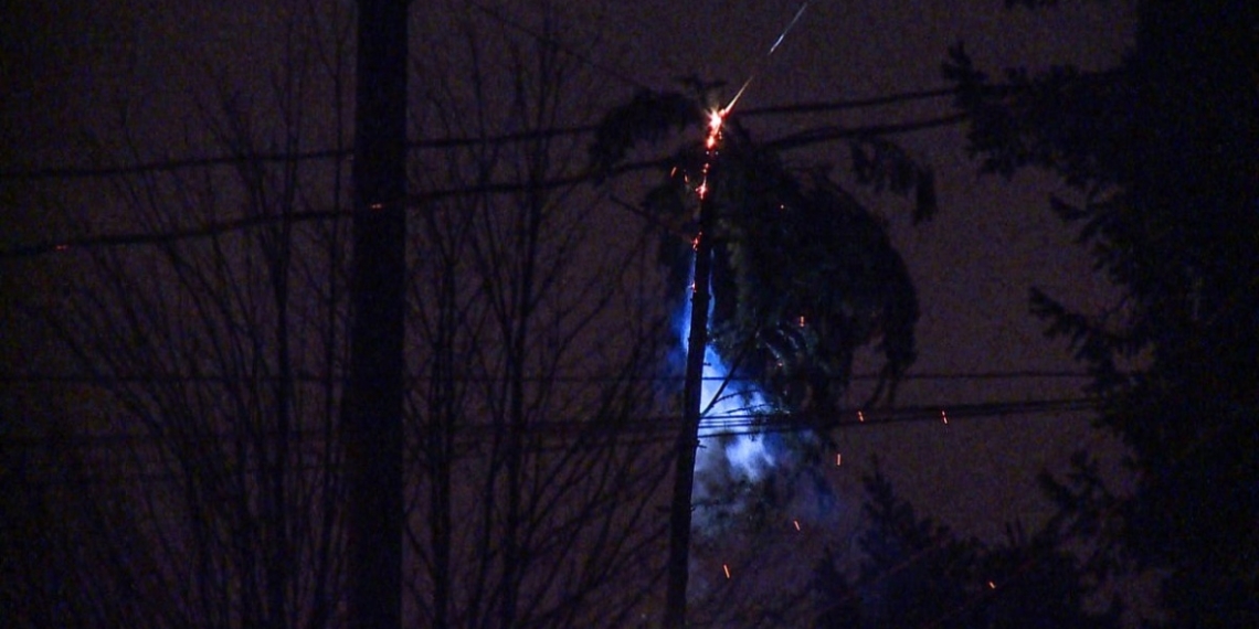 Wind wreaks havoc, leaves thousands without power in B.C.