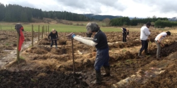 Central Saanich farm for homeless forced to close