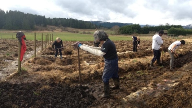 Central Saanich farm for homeless forced to close
