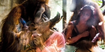 This orangutan inspired a Vancouver actress' role in Planet of the Apes