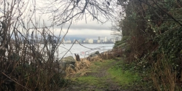 Vancouver creek to be restored, connecting Kitsilano park to ocean