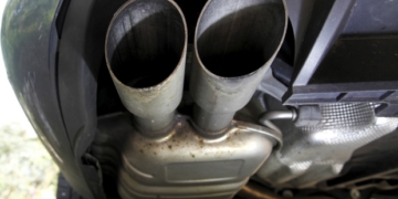 Volkswagen faces new twist in emissions scandal as allegations of animal testing emerge