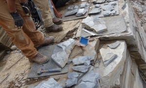 More than 500 fossils of new ancient worm species found in B.C.