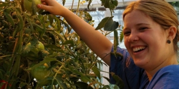 Cannabis company to use fish waste to grow marijuana in former pulp mill