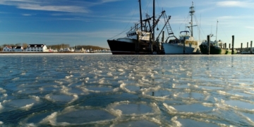 Recent deep freeze can't be blamed on climate change, study finds