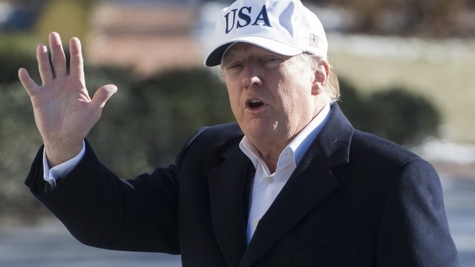 Fire and Fury: Trump allies dismiss 'fantasy book'