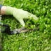 Declutter your garden with a good pruning before spring