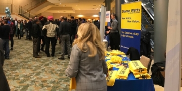 Dianne Watts: hoping to show popularity matters as much as platform