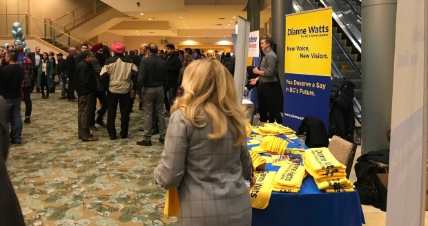 Dianne Watts: hoping to show popularity matters as much as platform