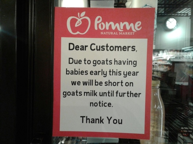 No kidding! Newborns blamed for shortage of goat milk