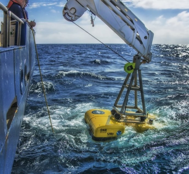 Deep-sea fish nursery uses heat from ocean vents to incubate eggs
