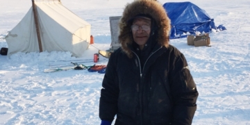 The North's 'apex predator' threatened by receding sea ice in the Beaufort Sea, study says