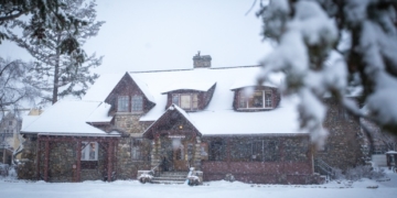 Injured elk prompts stampede in Jasper townsite