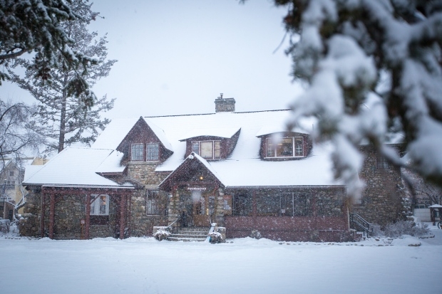 Injured elk prompts stampede in Jasper townsite