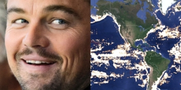 Artificial intelligence shows unprecedented detail in global fishing activities