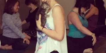 Downward dog, bunny, guinea pig… SPCA raising funds through animal yoga