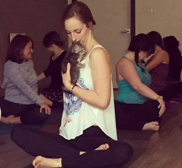 Downward dog, bunny, guinea pig… SPCA raising funds through animal yoga