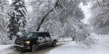 Power utilities forced to adapt as climate change brings wilder weather