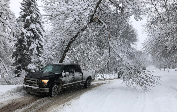 Power utilities forced to adapt as climate change brings wilder weather