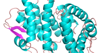 Platypus milk has protein with potential to fight superbugs