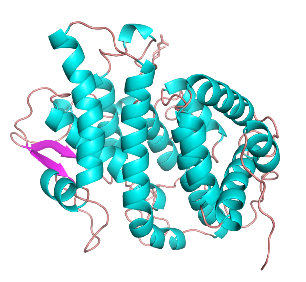 Platypus milk has protein with potential to fight superbugs