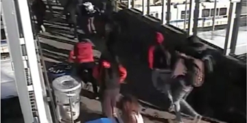 Edmonton police target violent teenage 'flash mobs'