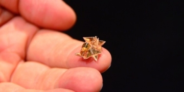 Former Halifax child prodigy grows up to design self-folding origami robots