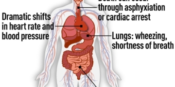 Poisoning of ex-spy a 'clear violation' of international treaty, say U.S., U.K., France, Germany