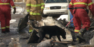 Officer shot in Calgary standoff in good spirits, police union says