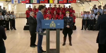 Brenda Lucki named Canada's 1st permanent female RCMP commissioner