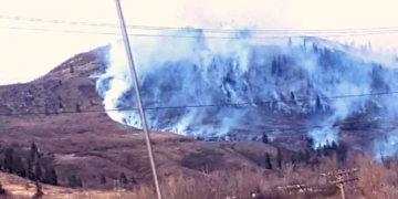 Wildfire scorches grassland near Kamloops