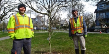 Green side up: planting Vancouver’s canopy, one tree at a time
