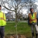 Green side up: planting Vancouver’s canopy, one tree at a time