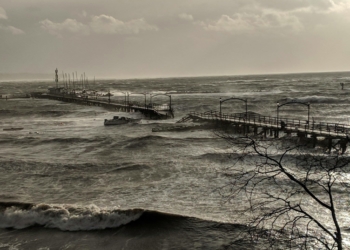 WReports: Wind Storm