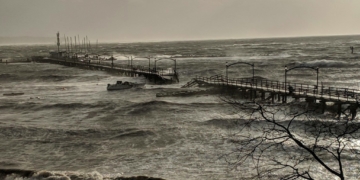 WReports: Wind Storm