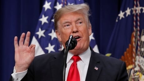 Trump decided to withdraw troops from Syria without consulting advisers, allies