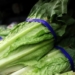 Romaine lettuce now safe to eat, Public Health Agency says