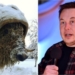 Meet Elon Muskox, the Yellowknife sculpture named after Tesla CEO