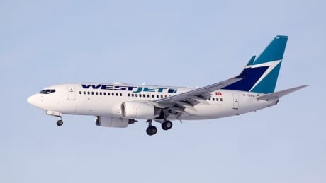 British man charged after disruption forces WestJet flight to return to Calgary