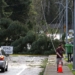 Some power outages could linger for days after windstorm slams Seattle area
