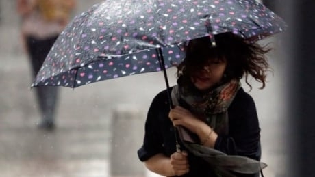 Wind warnings issued for parts of Metro Vancouver, Fraser Valley and Vancouver Island