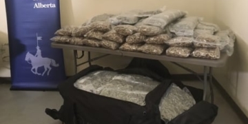Traffic stop near Banff leads to seizure of 148 kg of cannabis, RCMP say