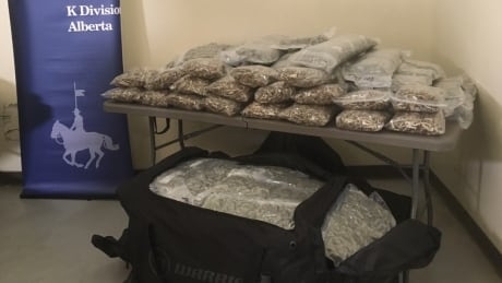Traffic stop near Banff leads to seizure of 148 kg of cannabis, RCMP say