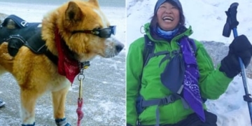 Frigid weekend prompts many Albertans to pull out their cold weather hacks