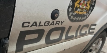Calgary police say man assaulted at northeast LRT station