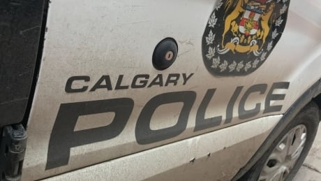 Calgary police say man assaulted at northeast LRT station