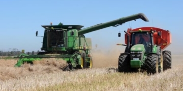 Agriculture, trade ministers will testify in April on Chinese canola issue