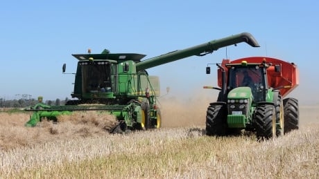 Agriculture, trade ministers will testify in April on Chinese canola issue